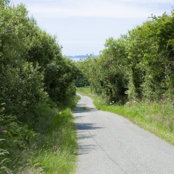Road towards site